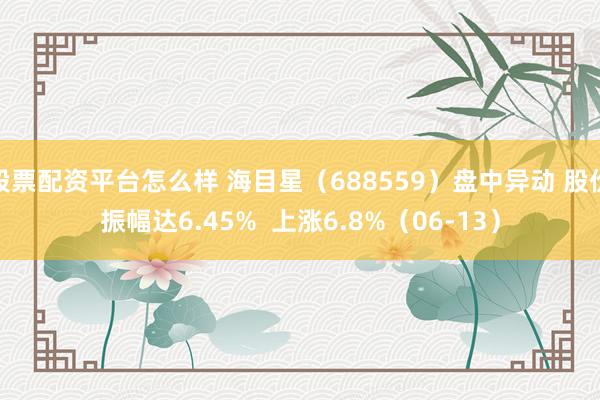 股票配资平台怎么样 海目星（688559）盘中异动 股价振幅达6.45%  上涨6.8%（06-13）