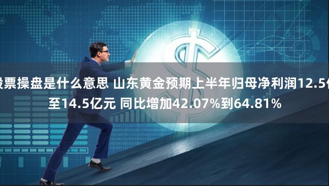 股票操盘是什么意思 山东黄金预期上半年归母净利润12.5亿至14.5亿元 同比增加42.07%到64.81%